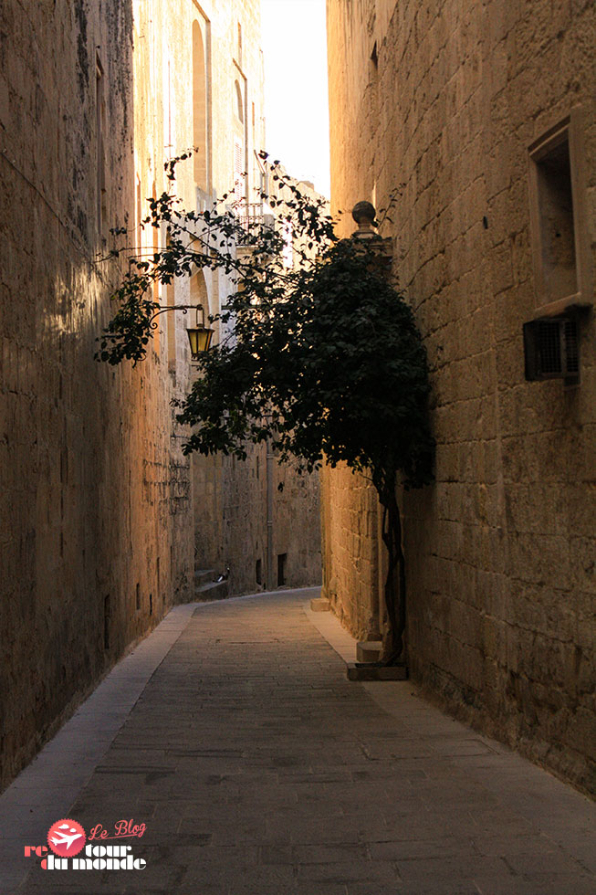 mdina_10