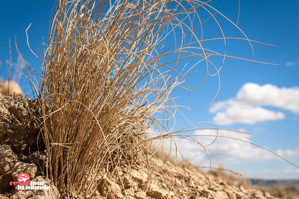 bardenas_13