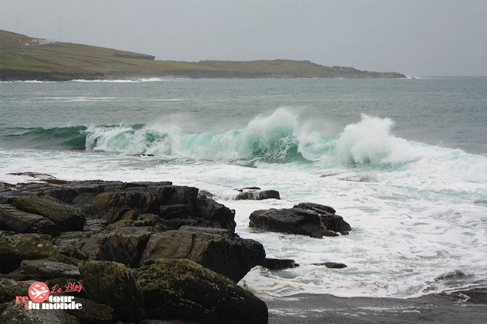 irishchips_bilan_5