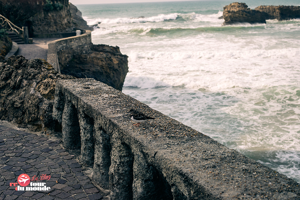 biarritz_rdm_8