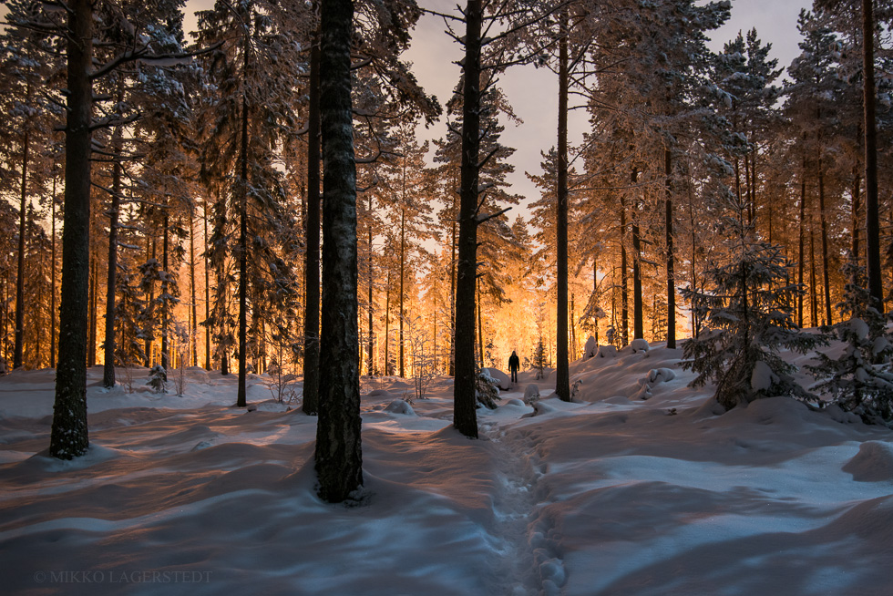 Mikko-Lagerstedt-Between-Two-Worlds