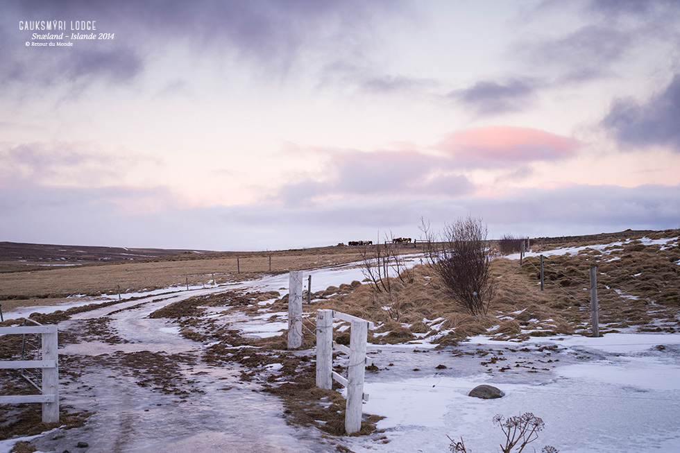 islande_day3_gauksmyri_1