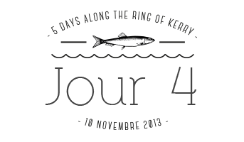 irish_bannerday4