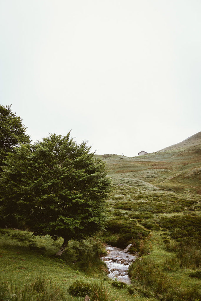 RdM_PB_Archilondo_17